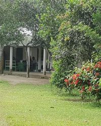 40029818_790141054489764_2588103969234485248_n